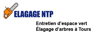 site Elagage NTP