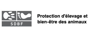 site web sdbf